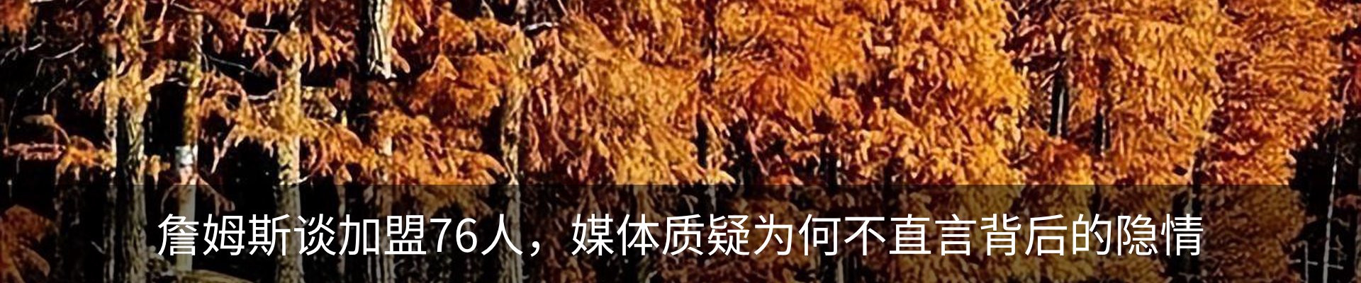 新闻动态