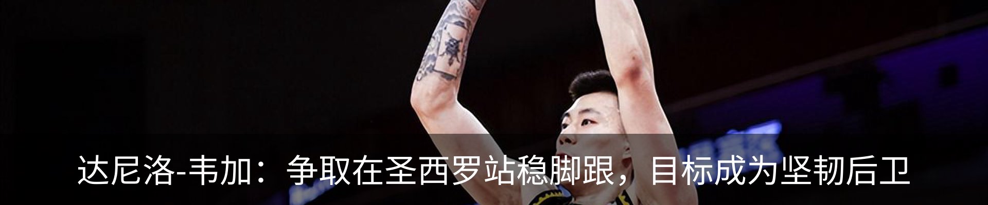 新闻动态